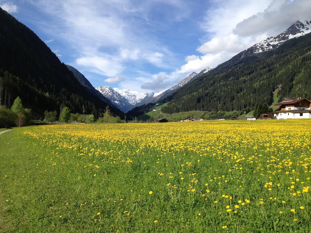Pension Klampferer Neustift im Stubaital Ruang foto